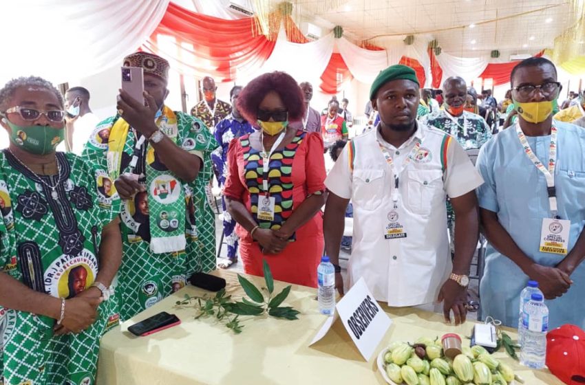  Sen. Ifeanyi Ubah’s Journey to Agu-Awka Assured as YPP Elect Him Candidate